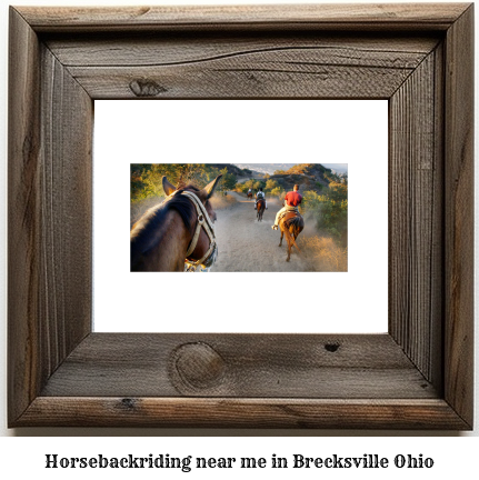 horseback riding near me in Brecksville, Ohio